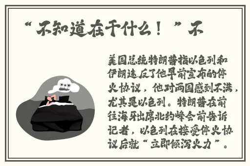 蜜桃日本免费观看MV